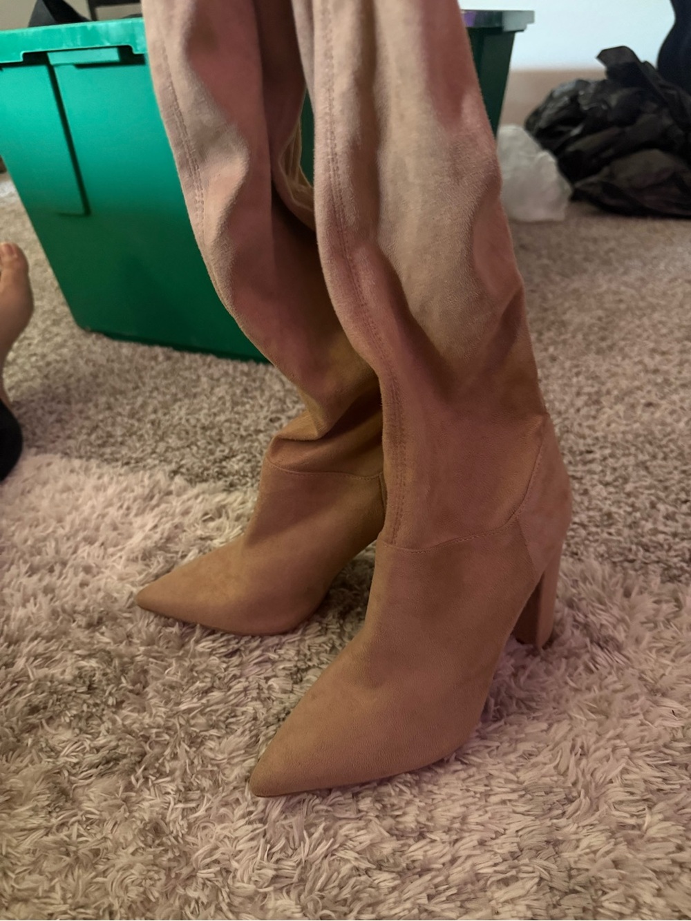 Women's Knee-High Pointed Toe Suede Boot - Tan